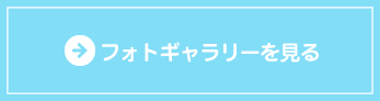 フォトギャラリーを見る